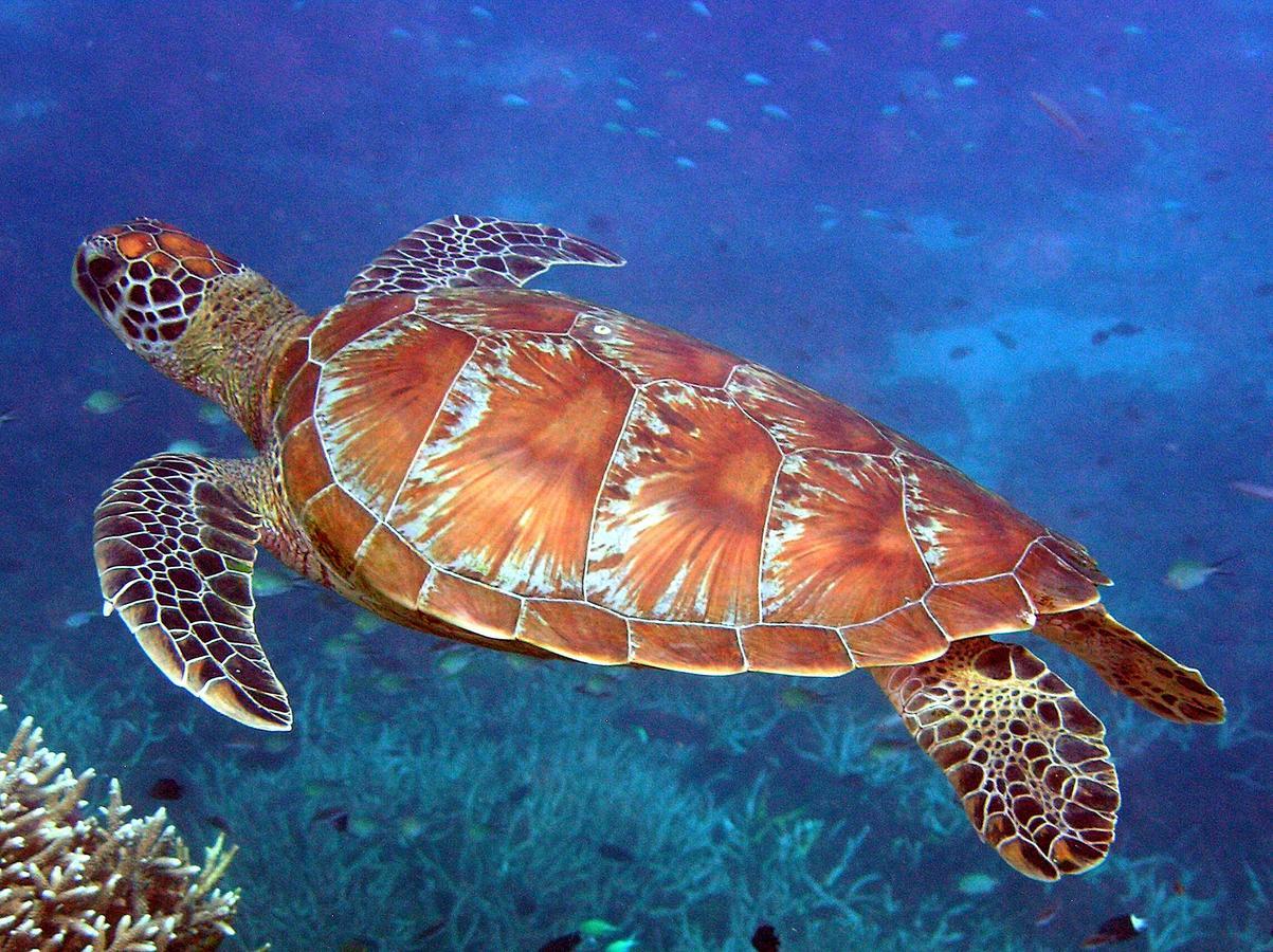 Reef Suite 阿格奈什沃特 外观 照片